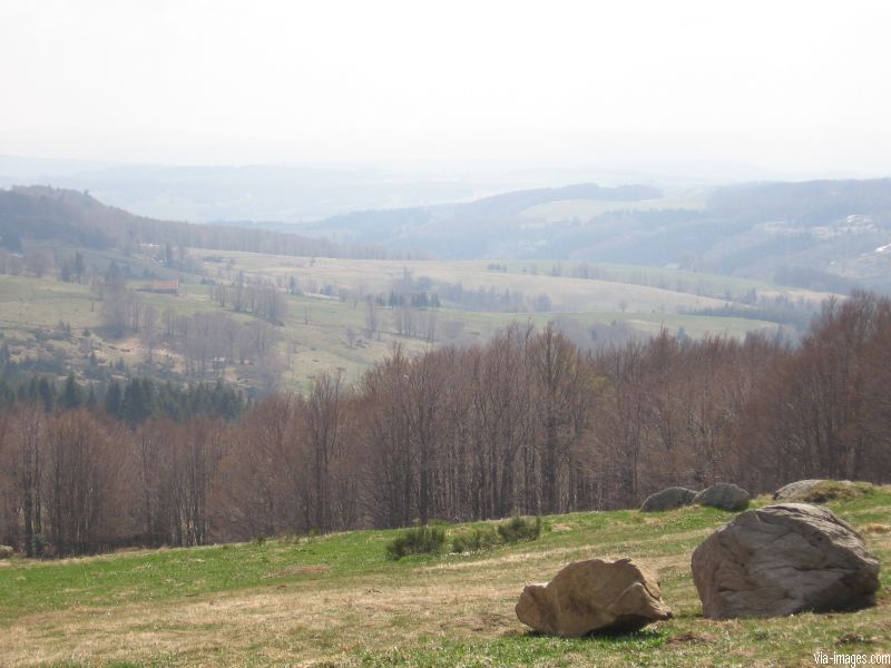 Le Mont Gerbier de Jonc