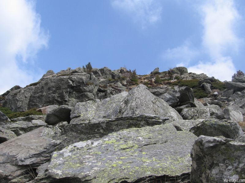 Le Mont Gerbier de Jonc