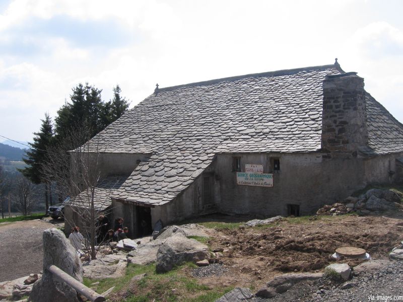 Le Mont Gerbier de Jonc