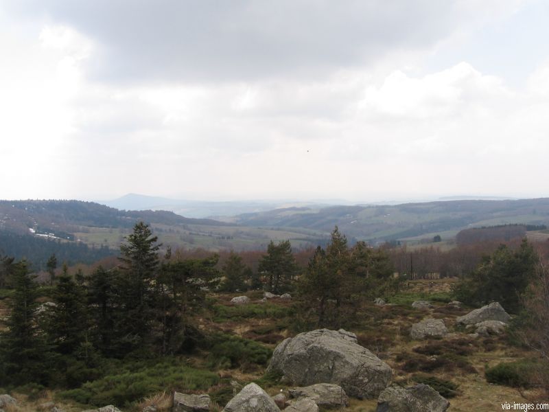 Le Mont Gerbier de Jonc