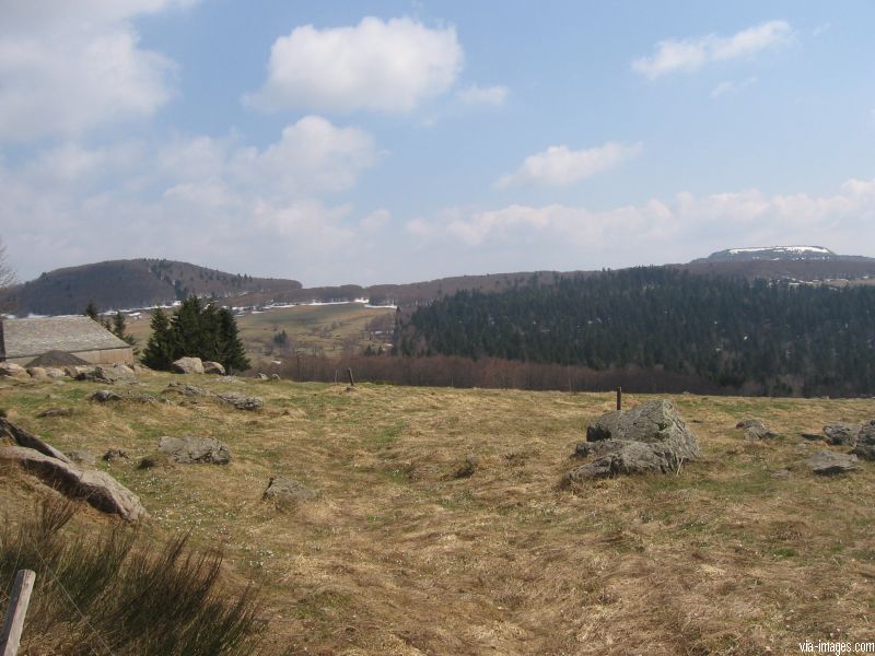 Le Mont Gerbier de Jonc