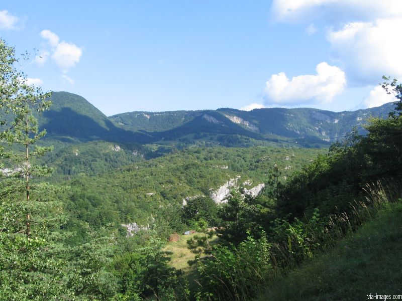 Les pertes de la Valserine