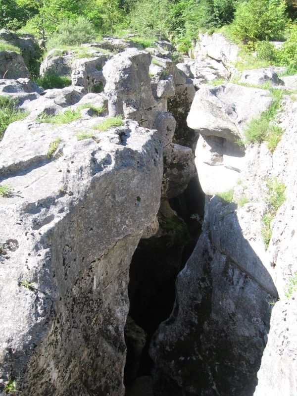 Les pertes de la Valserine