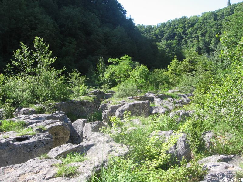 Les pertes de la Valserine