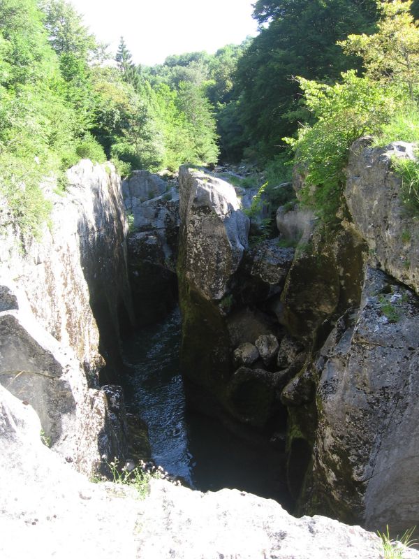 Les pertes de la Valserine