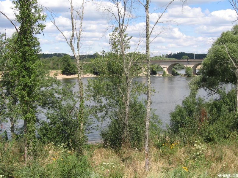 Confluent Cher Loire