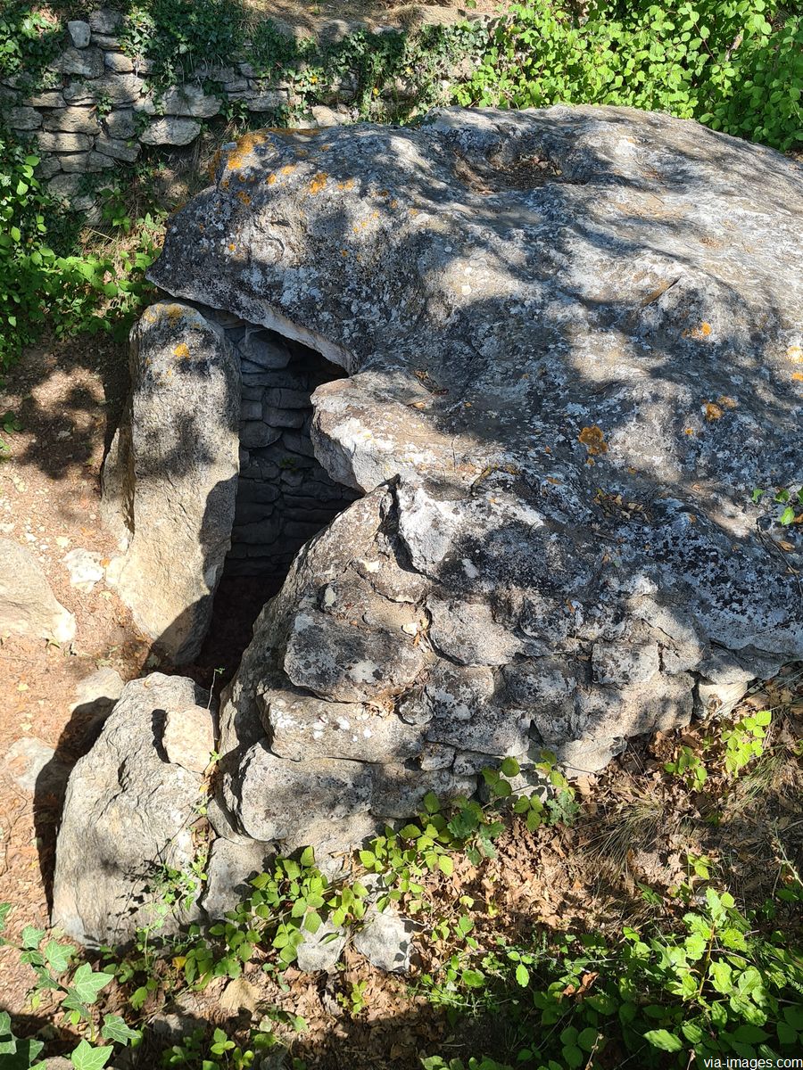 Le dolmen de la Pichonne