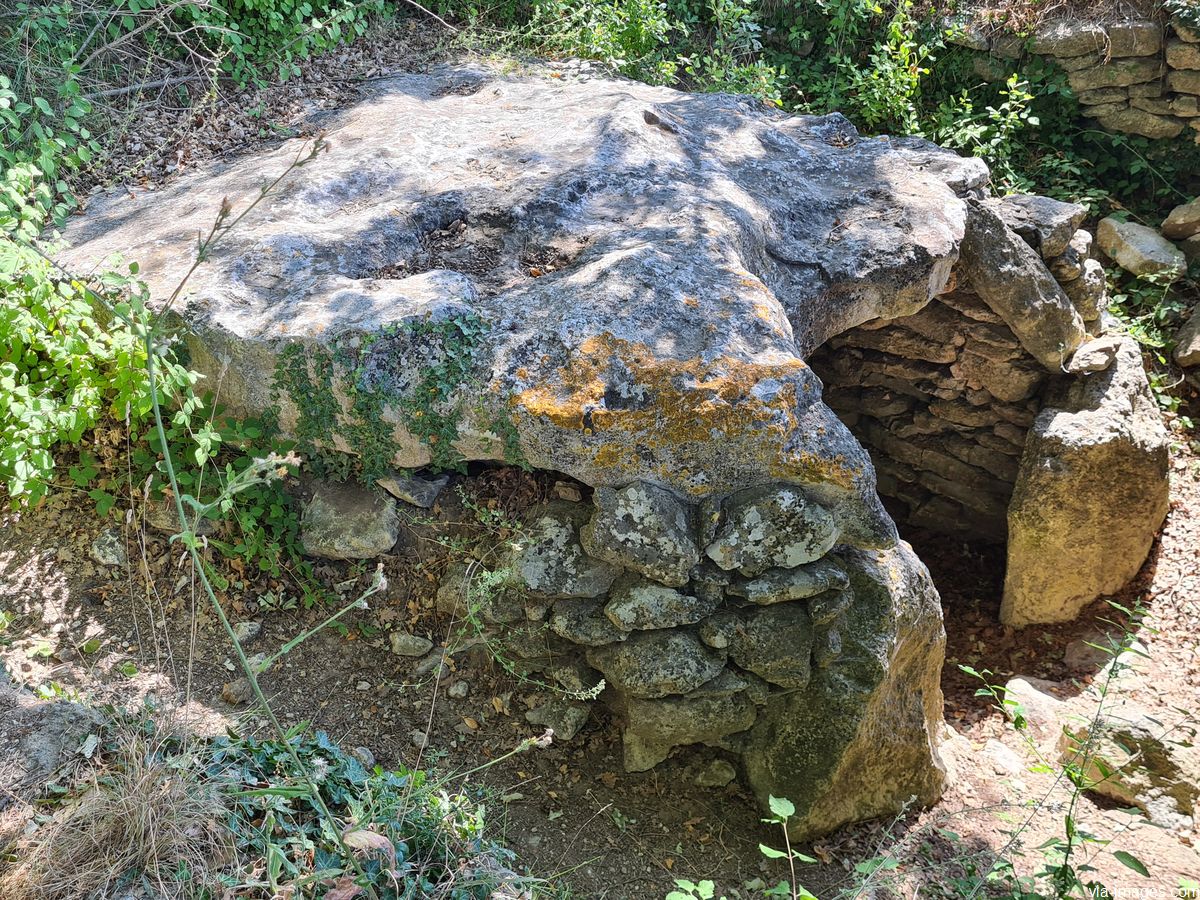 Le dolmen de la Pichonne