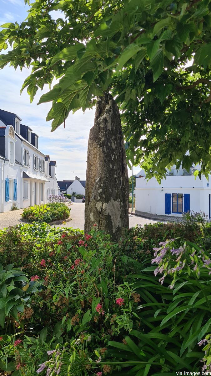 Les menhirs de Manemeur