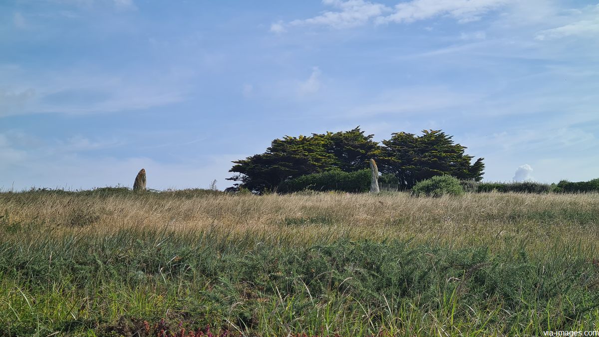 Les menhirs de Manemeur