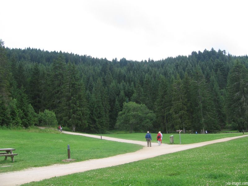 La source du Doubs