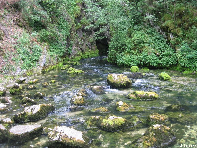 La source du Doubs
