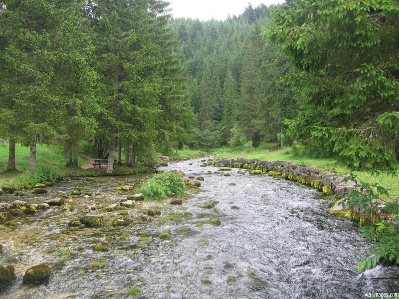La source du Doubs