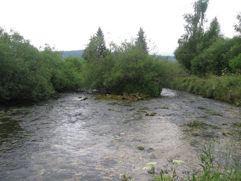 La source du Doubs